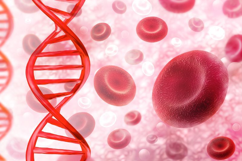 ��� �������� ������� ����������� ��� ������� ���������: ��������� �������