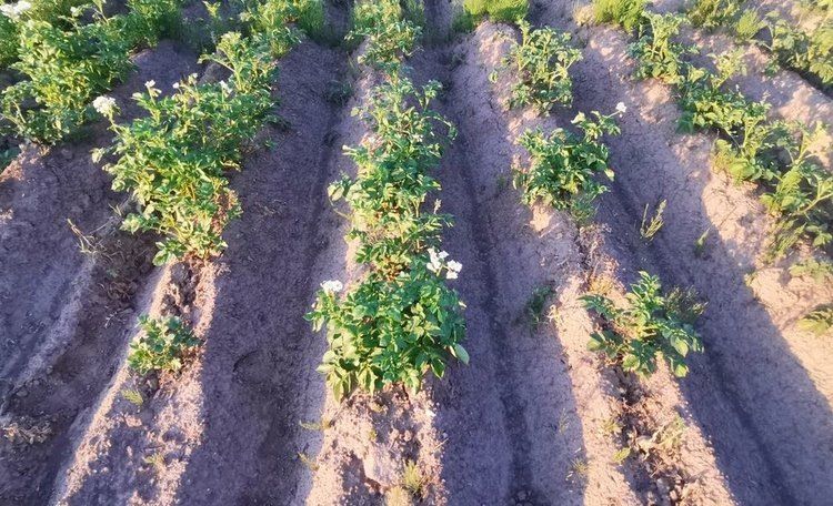 ��� ���������������� ����� ������ ������ ��������� � ����� �������