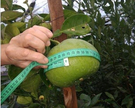 � ����������� �������� ������ ����������� ���� ����������