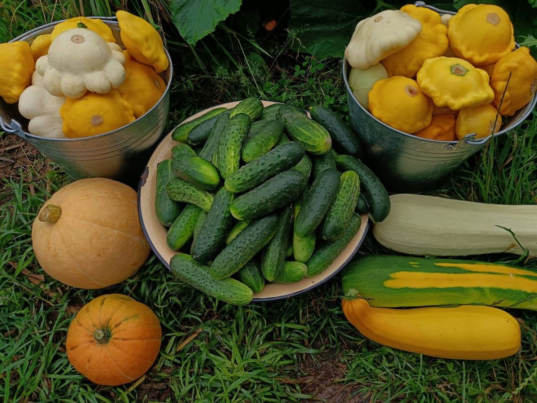 ������� �������� ������: ��� �������� ���� ���� � ����������