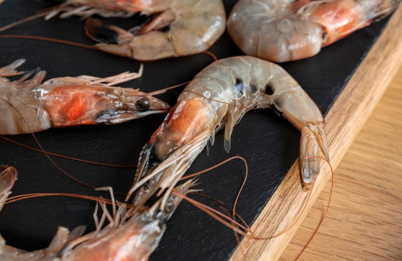 ��������� � ������������ ������ ����������� ������������� ��������� ��� ��������