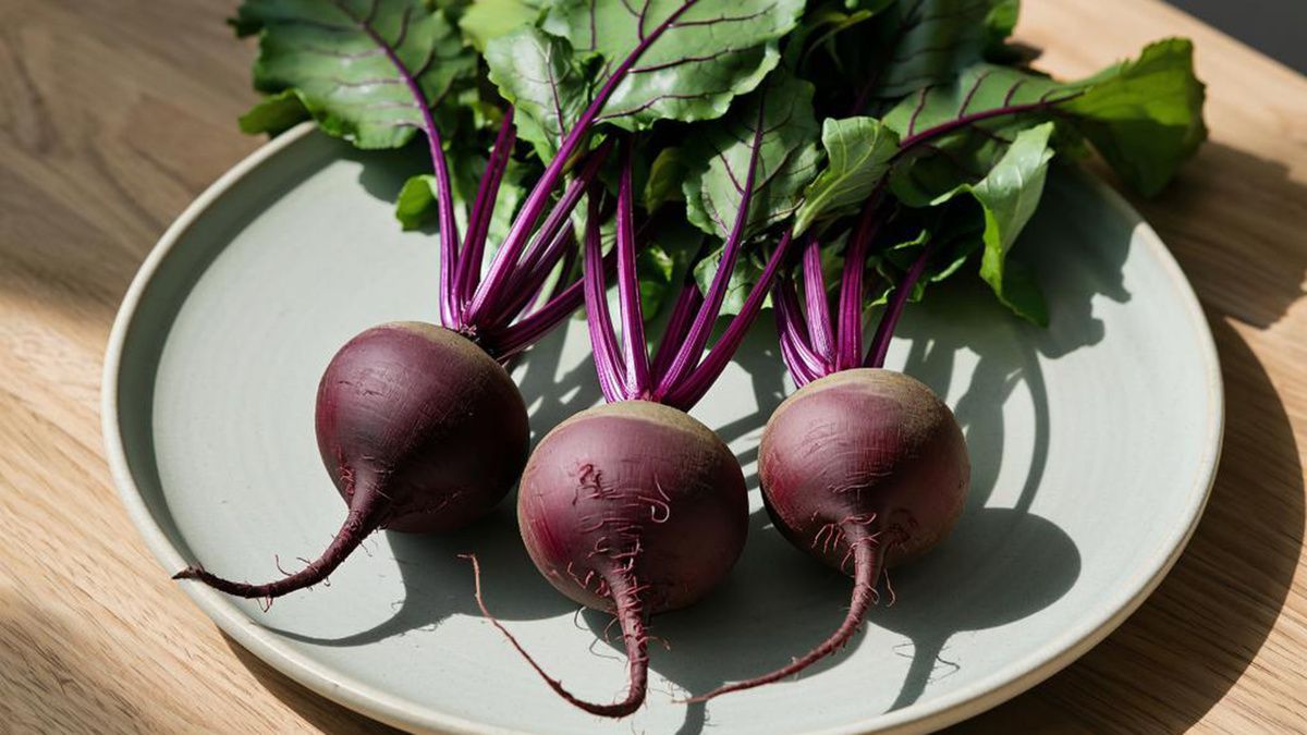 ����� � ����������� ���������� ������: ������ �������� ��� ������ ������