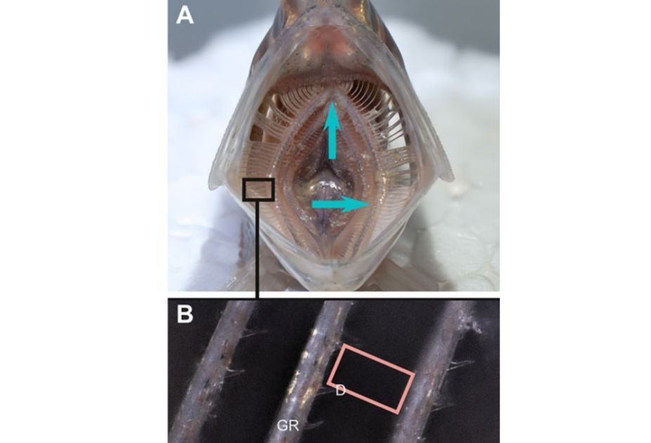 ������� �� ��� ���� ������ ���������� ������������ �� 99 ���������