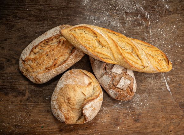 �����: ����������� �� ��������� �� ����������� ���������� ��������