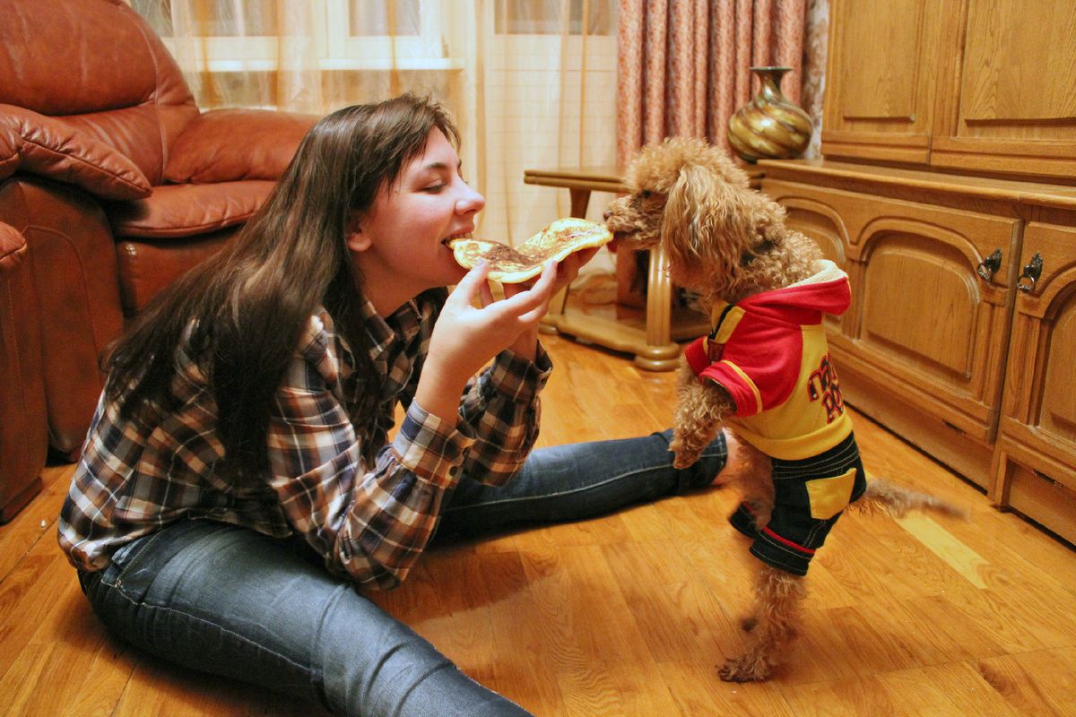 ������� ������ ��������� ������� � ���� � ������ �������