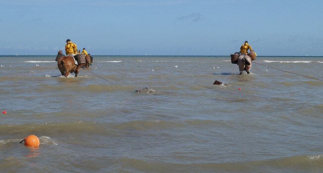 � ����������: ��� ������ ������ ������� ��������