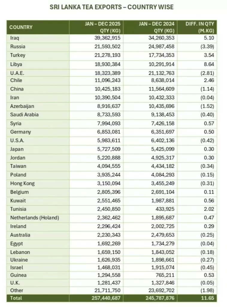 Кто ценит черный чай больше всего: неожиданные лидеры в рейтинге импортеров