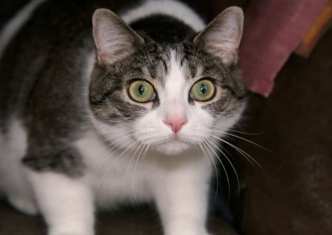 ���-�������������: ��� ���������� ������� ��������� ��������� ����