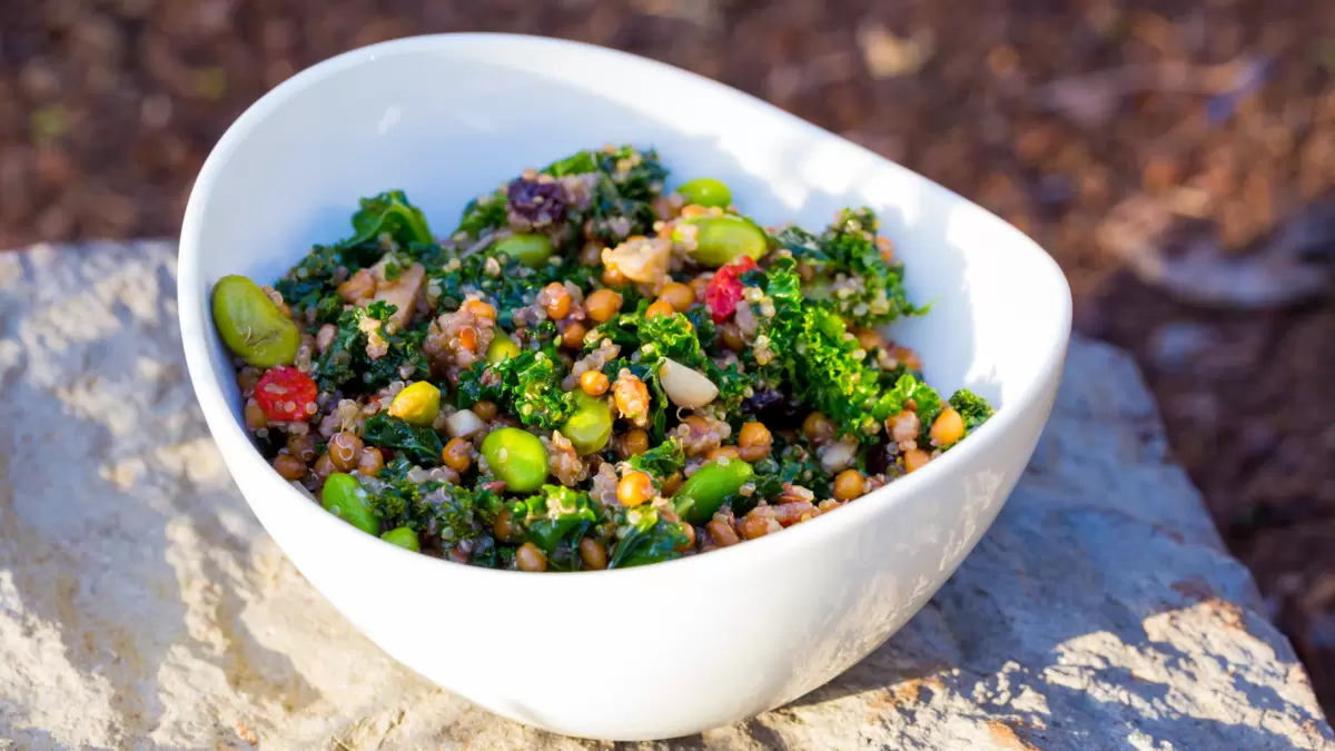 Аутоиммунный протокол: мифы и реальность