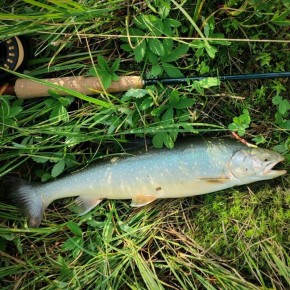 �����: ������ ��������, ������� �������� ���������