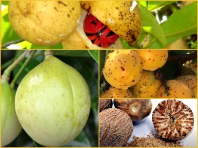 ����� ��������� ���� �������� ������ � ������� �������