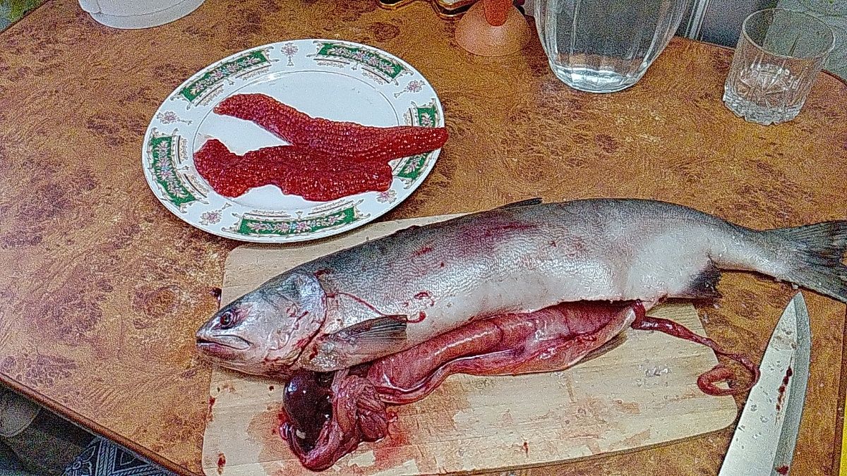 ��������� �������: ��� �������� ���� ������� � �������� ��������