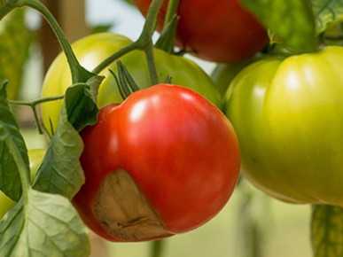 ��������� ����� �� ������� � ������: ��� �� ������������� � ��������