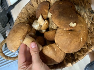 ��� ��������� ���������� ����� �����: ������� ��������