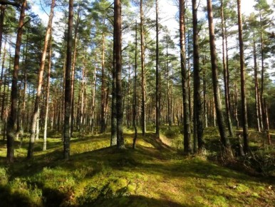 ������� ����� � ���������: ��������� ����� ������ � ������������� � ������ ���������