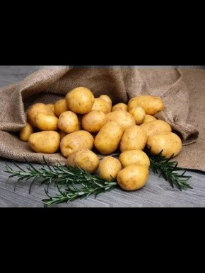 ��������� ���: ������� ��������� ������ � ���������������� �� ������ �����