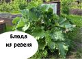 ������: ������������� ���������� ��� ���������