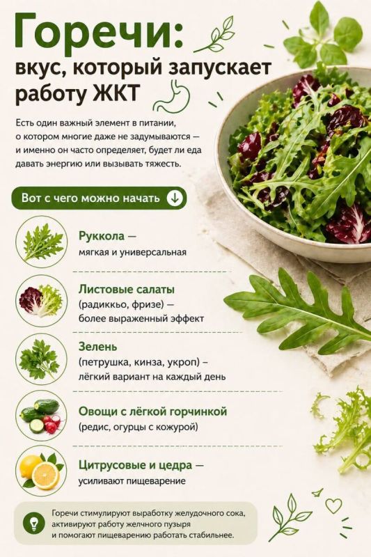 Горечи: ключ к здоровому пищеварению