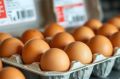 Как выбрать яйца в магазине: полезные советы для разумного выбора
