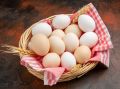 Советы Роспотребнадзора по выбору и хранению куриных яиц