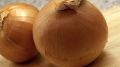 Забота о печени: как вернуть здоровье с помощью простых продуктов